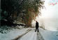 Tommy passeggia sulla neve