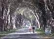 Toscana, in bici nella Tenuta San Rossore