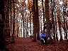 uno splendido bosco lungo il tragitto
