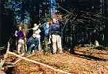 i MaiStraki, nel bosco in prossimit Lesi